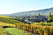 France, Haut Rhin, Alsace Wine Road, Turckheim
