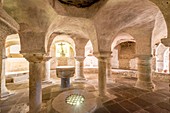 France, Puy de Dome, Billom, Saint Cerneuf church, crypt dated 12th centuryLivradois Forez Regional Natural Park