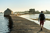 France, Morbihan, Arz island, walker near Berno tide mill