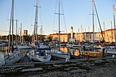 Frankreich, Charente-Maritime, La Rochelle, der Vieux Port (Alter Hafen), der Leuchtturm und die St. Sauveur Kirche