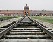 Railway tracks leading to the Birkenau Concentration Camp, UNESCO World Heritage Site, Auschwitz, Poland, Europe
