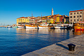 View of harbour and the old town with the Cathedral of St. Euphemia, Rovinj, Istria, Croatia, Adriatic, Europe