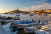 View of harbour and the old town with the Cathedral of St. Euphemia at sunset, Rovinj, Istria, Croatia, Adriatic, Europe