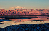 Salar de Atacama, Chile, Südamerika