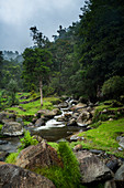 Savegre River (Rio Savegre), San Gerardo de Dota, San Jose Province, Costa Rica, Central America