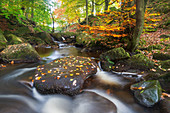 Padley-Schlucht im Herbst, Peak District National Park, Derbyshire, England, Vereinigtes Königreich, Europa