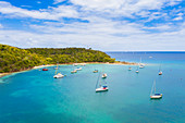 Sailboats and catamarans moored in a tropical bay, aerial view by drone, Caribbean Sea, Antilles, West Indies, Caribbean, Central America