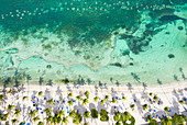 Palmengesäumter Strand, gewaschen von der Karibik von oben durch Drohnen, St. James Bay, Antigua, Inseln über dem Winde, Westindische Inseln, Karibik, Mittelamerika