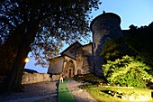 Castle in Lake Toblin, Trentino, Italy