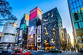 Japan, Tokyo City, Ginza District, Harumi Avenue