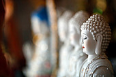 Reihe von Buddha-Statuen in einem buddhistischen Tempel, Ho-Chi-Minh-Stadt, Vietnam, Indochina, Südostasien, Asien