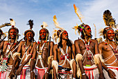 Gerewol festival, courtship ritual competition among the Wodaabe Fula people, Niger, West Africa, Africa