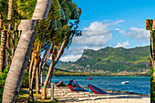 Kitesurfen im Ozean gesehen vom tropischen palmengesäumten Strand, Le Morne Brabant, Black River District, Mauritius, Indischer Ozean, Afrika