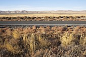 Highway durch flache Freifläche, Wüste mit Buschpflanzen