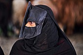 Sultanat Oman, Region Al Sharqiya, Sinaw, Viehmarkttag, Beduinen Frauen und Männer