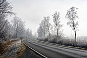 Country road between Schlehdorf and Kochel am See on a frosty morning, Bavaria, Germany.