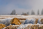 View over the hoarfrost-covered cultural landscape of the Loisach-Kochelsee Moore and the fodder meadows, Bavaria, Germany.