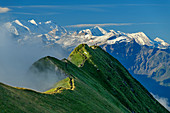 Bergpfad führt am Grat entlang auf Gipfel mit Fahne zu, Berner Alpen im Hintergrund, Augstmatthorn, Emmentaler Alpen, Bern, Schweiz