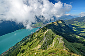 Blick über die Wiesenflanke des Augstmatthorn auf Brienzersee, vom Suggiturm, Augstmatthorn, Emmentaler Alpen, Bern, Schweiz