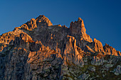 Cliffs of the Gletschhorn in the alpenglow, from the Albert-Heim-Hut, Urner Alps, Uri, Switzerland