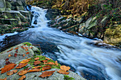 Brook Ilse flows over rock step, Obere Ilsefälle, Ilsetal, Brocken, Harz National Park, Harz, Saxony-Anhalt, Germany