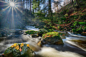 Bachlauf mit Herbstlaub, Ilsetal, Brocken, Nationalpark Harz, Harz, Sachsen-Anhalt, Deutschland