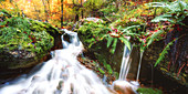 Autumn mood in the Pähler Gorge, Pähl, Bavaria, Germany