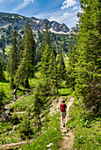 Ascent to the Lösertaljoch through the Lösertal with a view of Scheinbergspitze and Lösertalkopf, Ammergau Alps, Bavaria, Germany, Europe