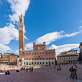 Piazza del Campo mit Torre del Mangia in Siena, Provinz Siena, Toskana, Italien 