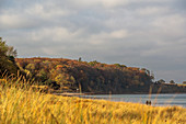 Blick auf den Eitz Weissenhaus, Ostsee, Ostholstein, Schleswig-Holstein, Deutschland