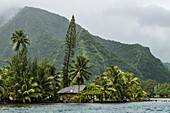House on lagoon edge with trees and mountain backdrop, Tahiti Iti, Tahiti, Windward Islands, French Polynesia, South Pacific