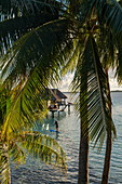 Coconut palms and man on SUP stand up paddle board in front of the overwater bungalow of the Sofitel Bora Bora Private Island Resort in the lagoon of Bora Bora, Bora Bora, Leeward Islands, French Polynesia, South Pacific