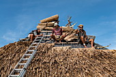 Arbeiter reparieren Dach von Überwasserbungalow im Hilton Moorea Lagoon Resort & Spa, Moorea, Windward Islands, Französisch-Polynesien, Südpazifik