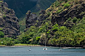 Sailboats in the sheltered Hanavave Bay with palm trees in front of a mountain backdrop, Hanavave, Fatu Hiva, Marquesas Islands, French Polynesia, South Pacific