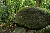 Rätselhafte Petroglyphen von Vögeln, heiligen Schildkröten und Fischen wurden auf riesigen Felsblöcken an der archäologischen Stätte Kamuihai im Taipivai-Tal geschnitzt, naheTaipivai, Nuku Hiva, Marquesas-Inseln, Französisch-Polynesien, Südpazifik