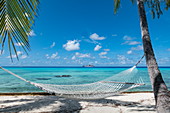 Hängematte hängt zwischen Kokospalmen im Hotel Kia Ora Resort & Spa, Insel Avatoru, Rangiroa-Atoll, Tuamotu-Inseln, Französisch-Polynesien, Südpazifik