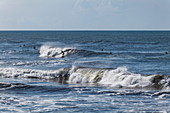 Surfers ride waves, near Papeete, Tahiti, Windward Islands, French Polynesia, South Pacific