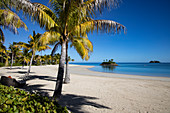 Kokospalmen und Strand im Six Senses Fiji Resort, Malolo Island, Mamanuca Group, Fidschi-Inseln, Südpazifik