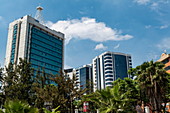 Palm trees and high-rise office buildings in the city center, Kigali, Kigali Province, Rwanda, Africa