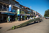 Huge bamboo trunks are transported by tractor, Kampong Chhnang, Kampong Chhnang, Cambodia, Asia