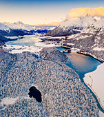 Luftbild von verschneiten Wäldern um Lej Nair, Piz Polaschin, Piz La Margna, Silvaplana und Lej DaChampfer, Engadin, Kanton Graubunden, Schweiz, Europa