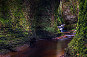 Die Schlucht bei Finnich Glen, bekannt als Devils Pulpit in der Nähe von Killearn, Stirling, Schottland, Großbritannien, Europa