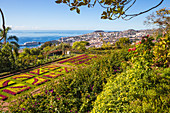 Botanischer Garten, Monte, Funchal, Madeira, Portugal, Atlantik, Europa