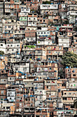 View of poor housing in the favela (slum), Cantagalo near Copacabana Beach, Rio de Janeiro, Brazil, South America