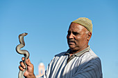 Ein Schlangenbeschwörer mit Schlange, Djemaa el Fna, Marrakesch, Marokko, Nordafrika, Afrika