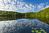 Schwarzer See, Granitz Nature Reserve, Ruegen, Baltic Sea, Mecklenburg-Western Pomerania, Germany