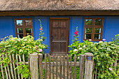 Thatched house, Warthe, Lieper Winkel, Usedom, Baltic Sea, Mecklenburg-Western Pomerania, Germany