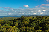 View to the Silvitzer Ort headland, treetop path in the Rügen Natural Heritage Center, Ruegen, Baltic Sea, Mecklenburg-Western Pomerania, Germany
