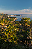 Blick vom Cap Vermell nach Norden, Mallorca, Balearen, Katalonien, Spanien