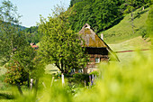 Thatched mill with cottage garden, Oberprechtal near Elzach, Black Forest, Baden-Württemberg, Germany